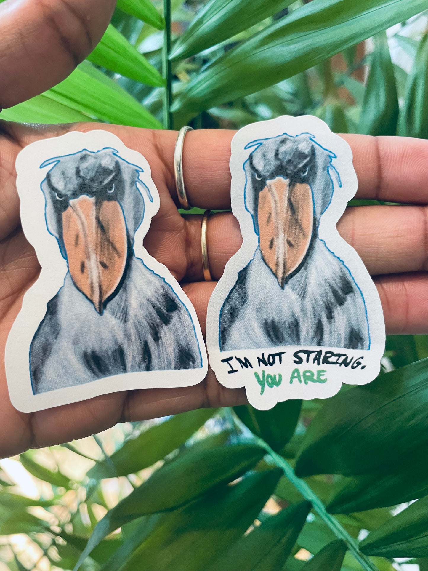 **Bill the Shoebill!