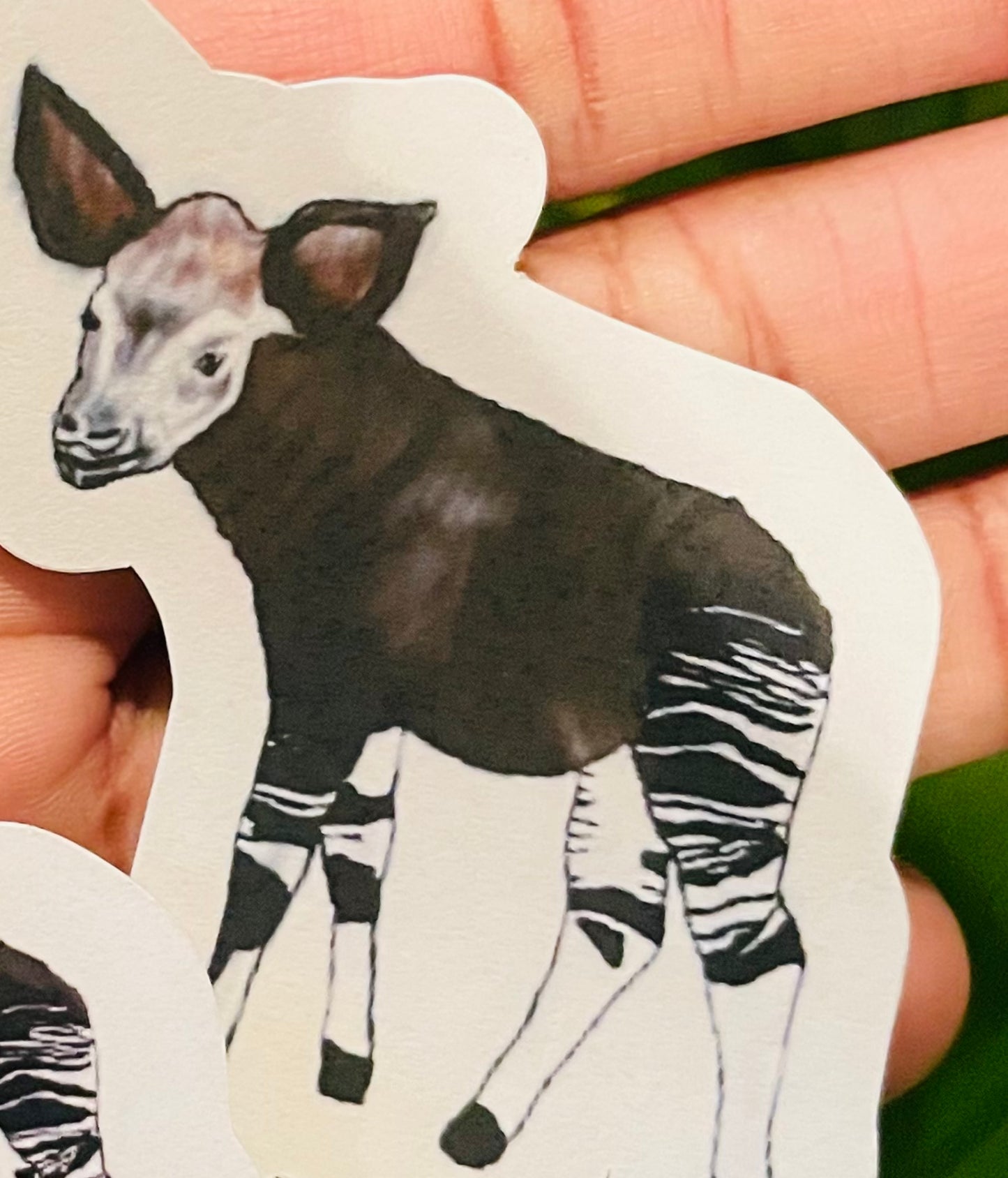**Okapi & Okapi and Giraffe Comic Sticker**