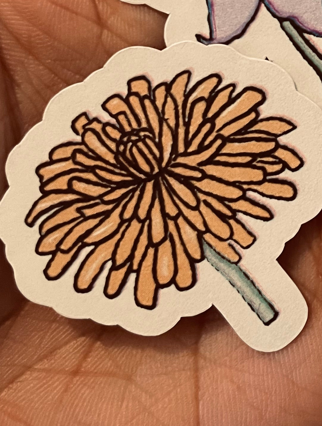 **Beauty in All, WeedFlowers