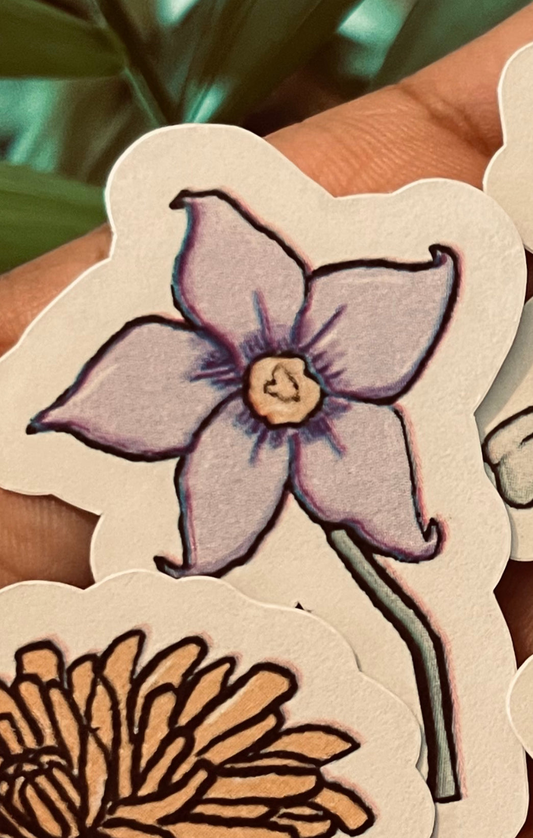 **Beauty in All, WeedFlowers