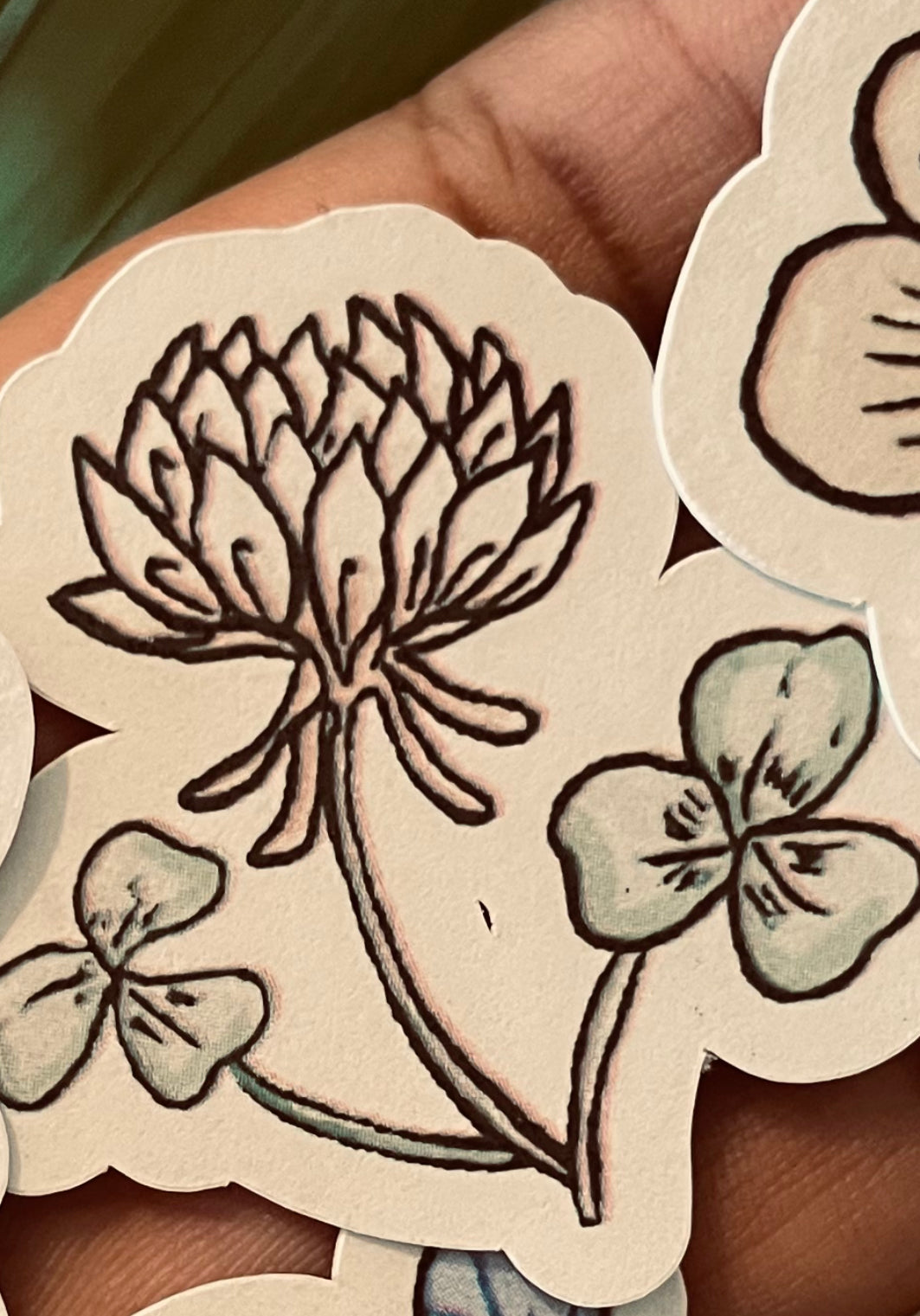 **Beauty in All, WeedFlowers