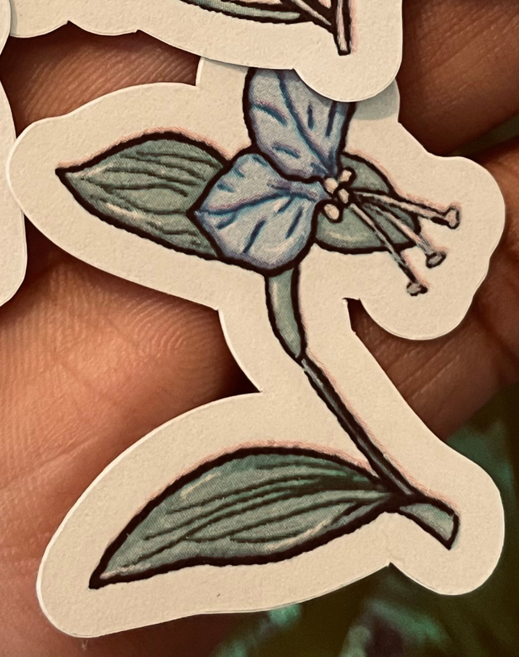 **Beauty in All, WeedFlowers