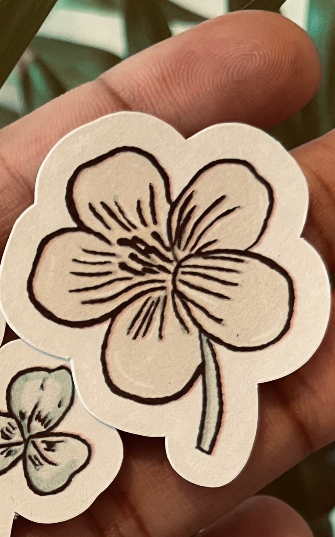 **Beauty in All, WeedFlowers