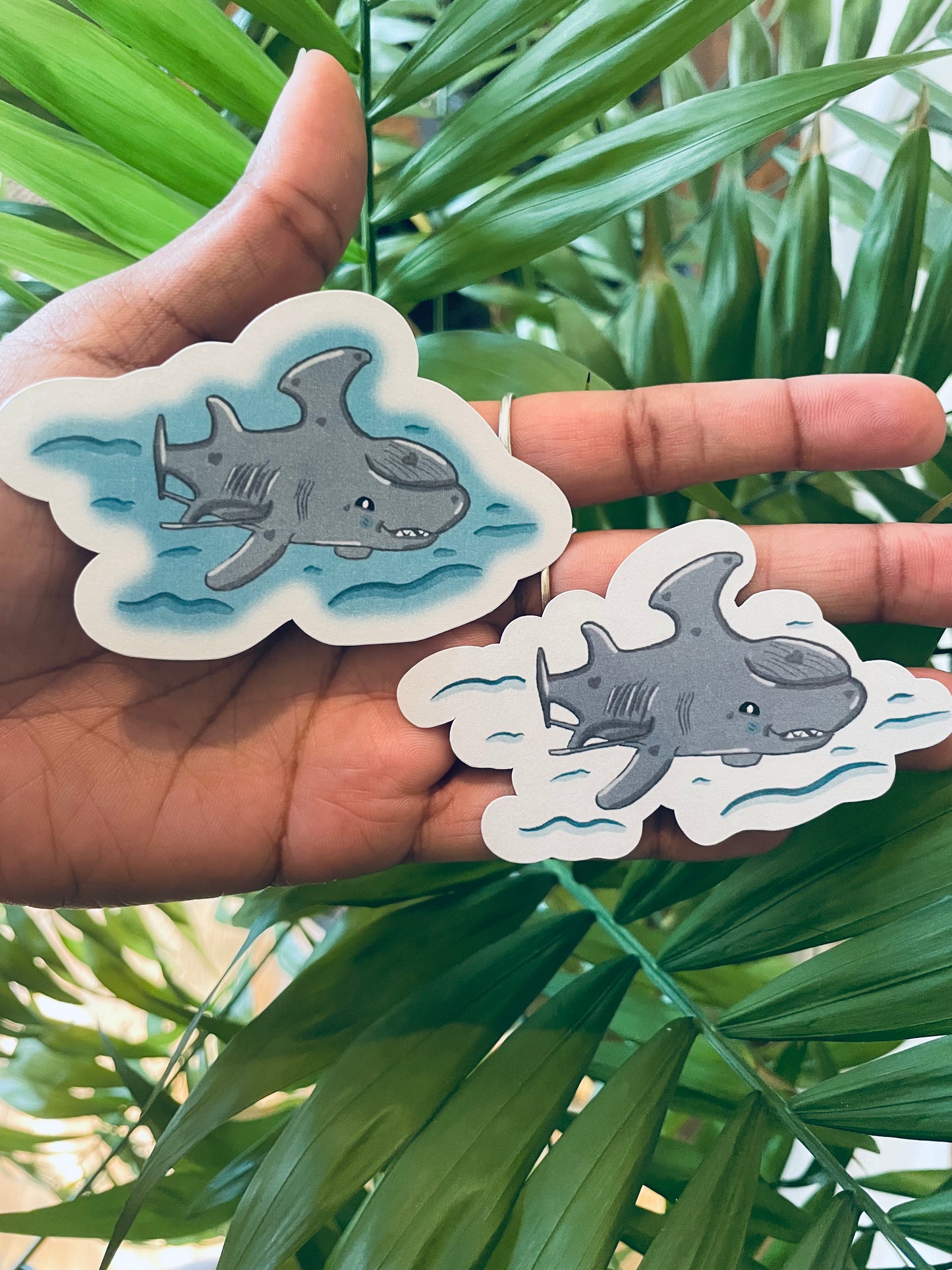 **Devon the Stethacanthus Shark!