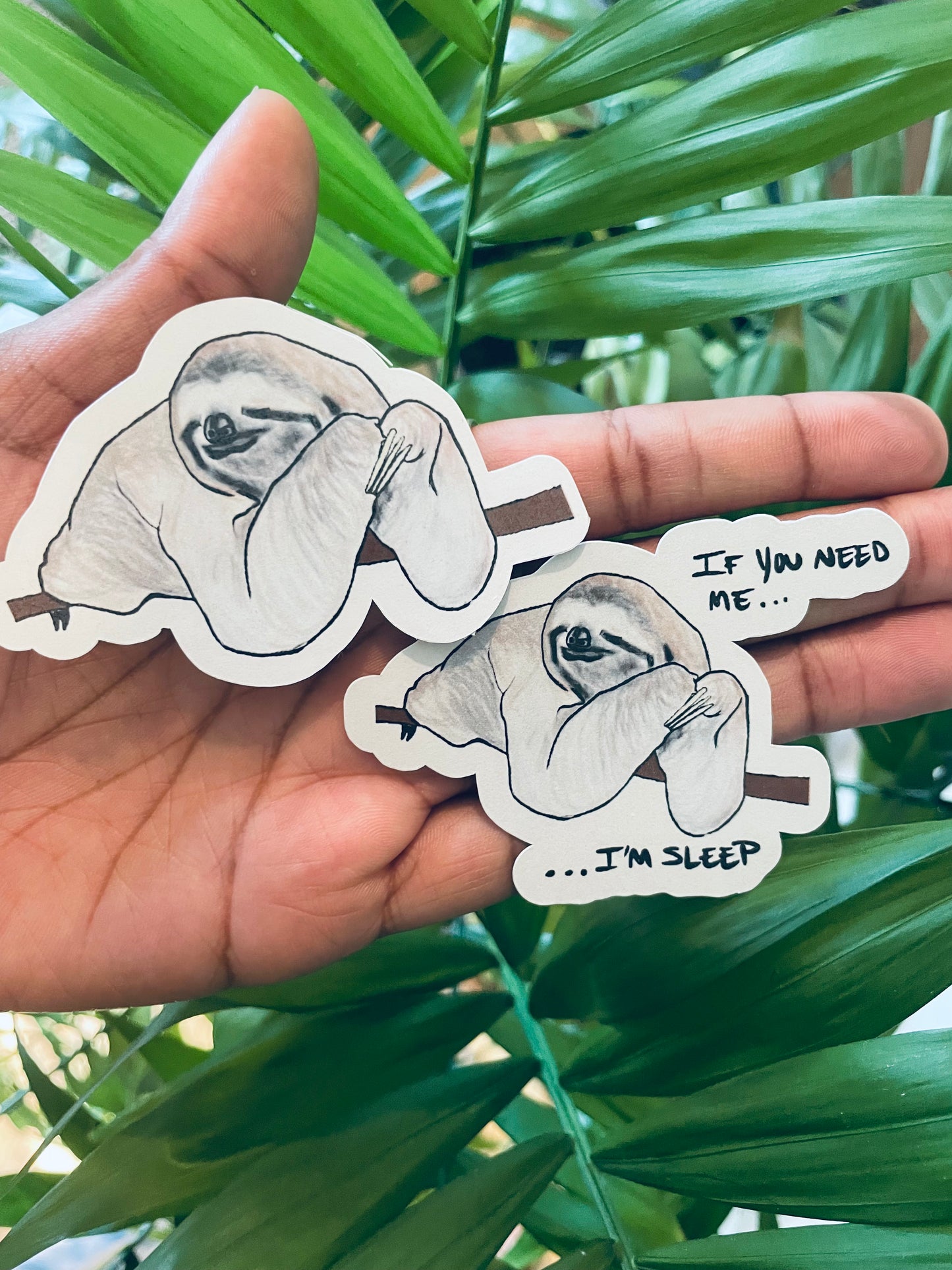 **Sloan the Sleepy Sloth!