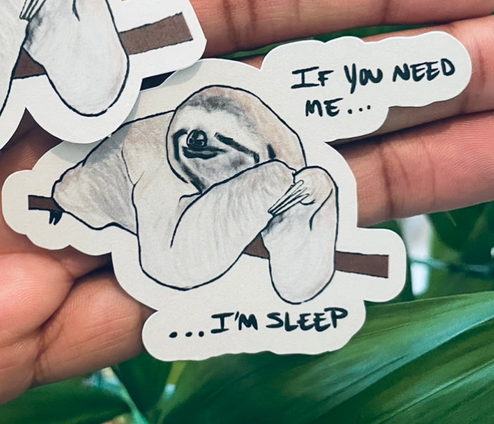 **Sloan the Sleepy Sloth!