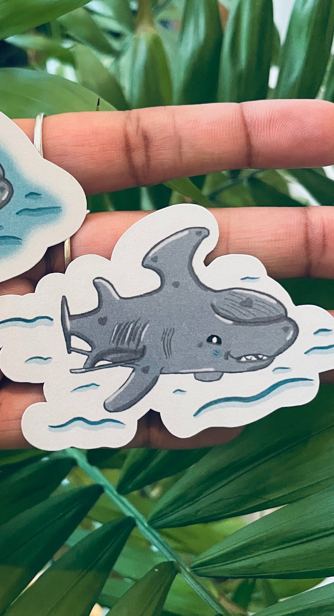 **Devon the Stethacanthus Shark!